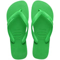 VERDE FOLHA