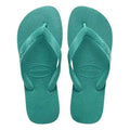 Verde Fresh